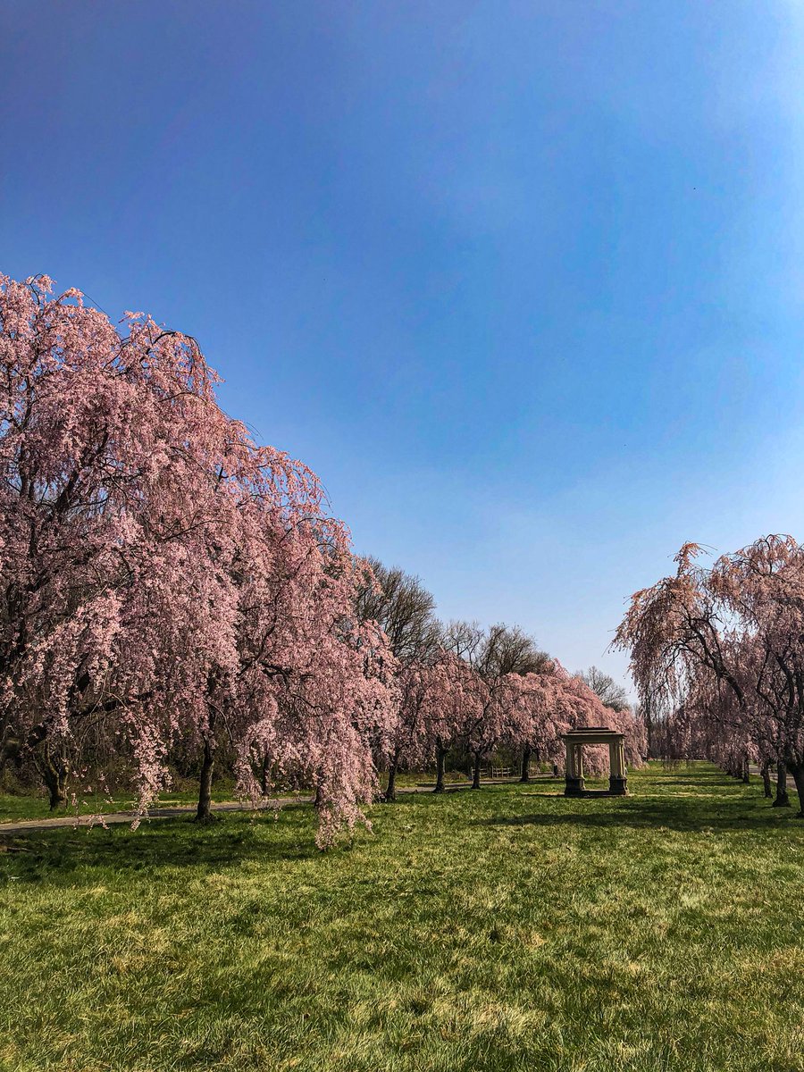 Emily Cooper tweet media