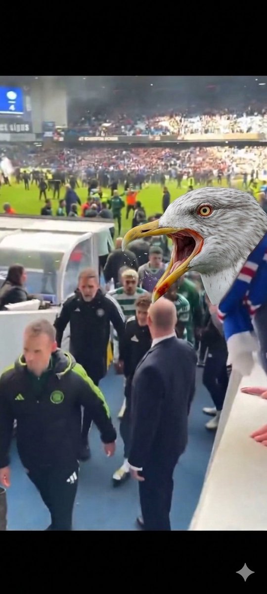 dt_1888's tweet photo. @RobbieCoo76 @JamieBrysonLLB Fucking booooooo https://t.co/tVoDz5ERwc