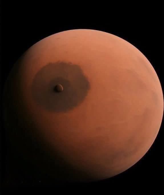 Diego Royet tweet media