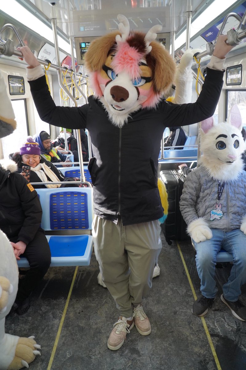 🦴Burning_Sea 🔜LVFC,TFF,FWA tweet media