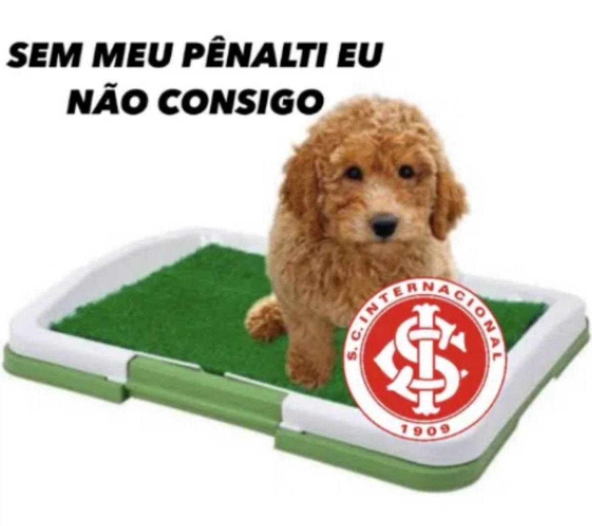 Chriexpe's tweet photo. @SCInternacional Sem meu pênalti não consigo ser artilheiro 😭😭 https://t.co/zTKshsPSAz