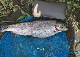 川から行く 🦮