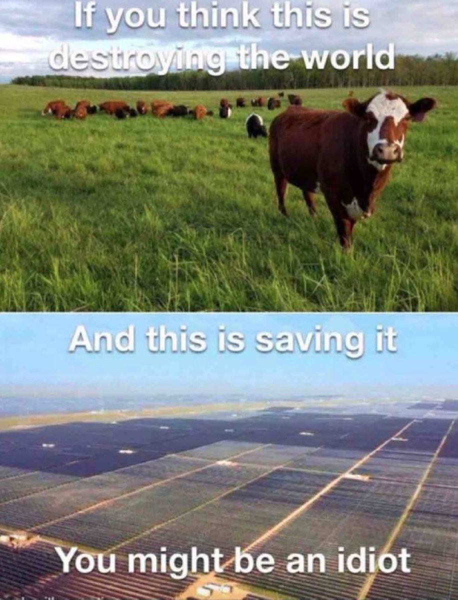 Saw it. 
Loved it.
Stole it.