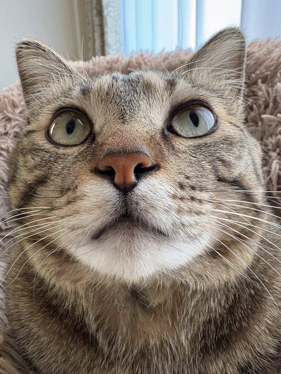 ゆずルイメイママ tweet media