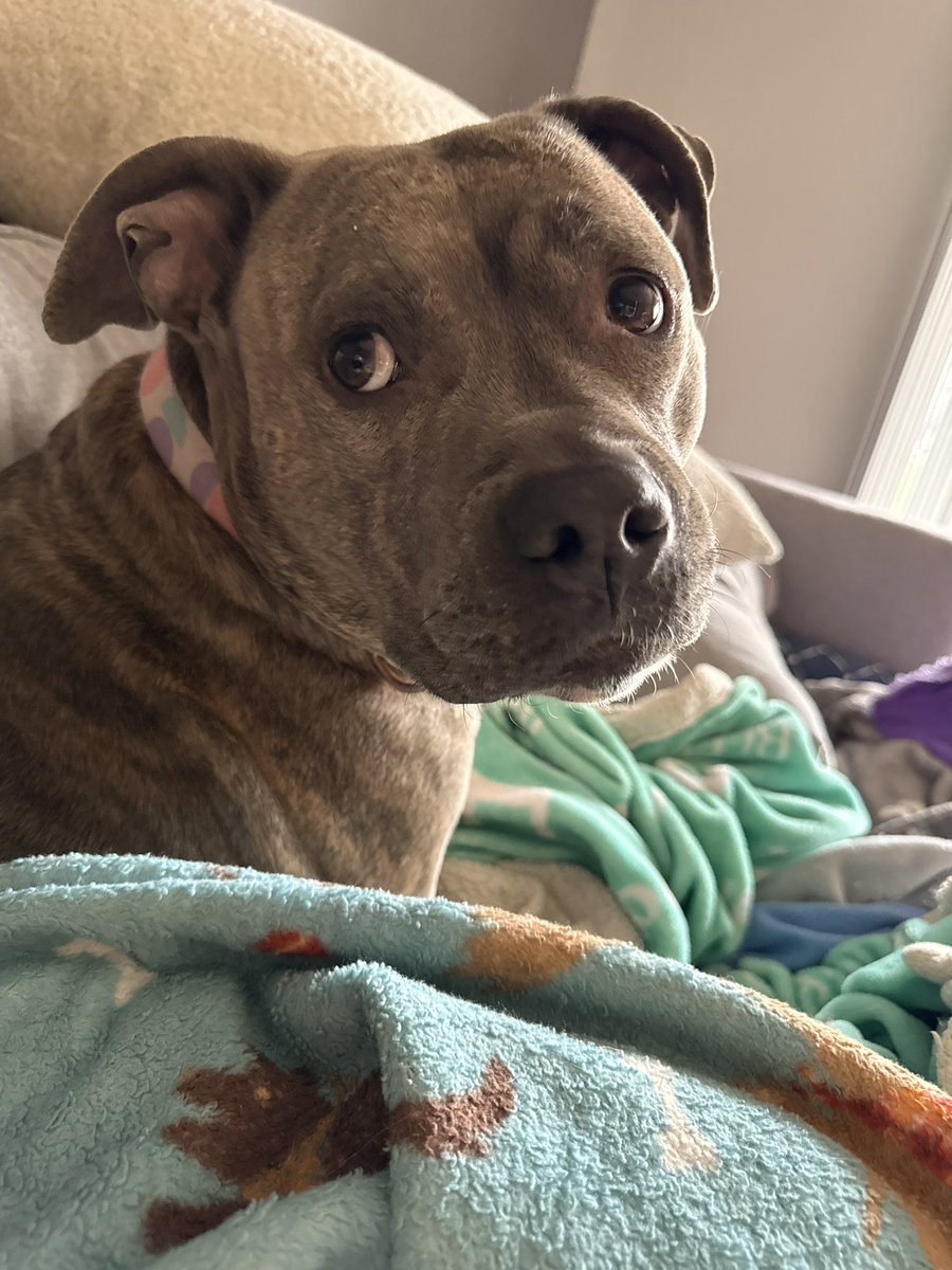 molly jean ( goodest gorl 🍉) tweet media