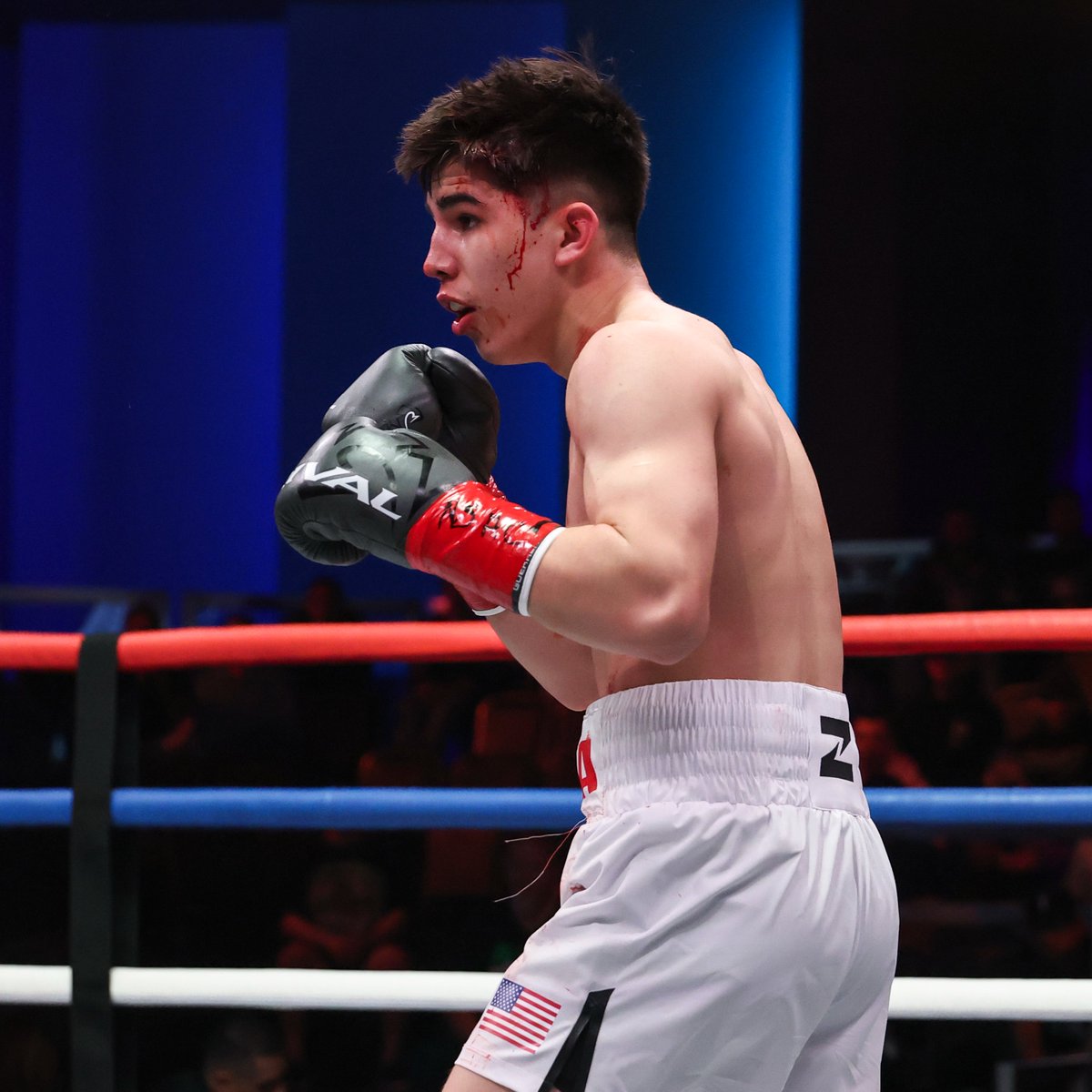 Zuffa_Boxing tweet media