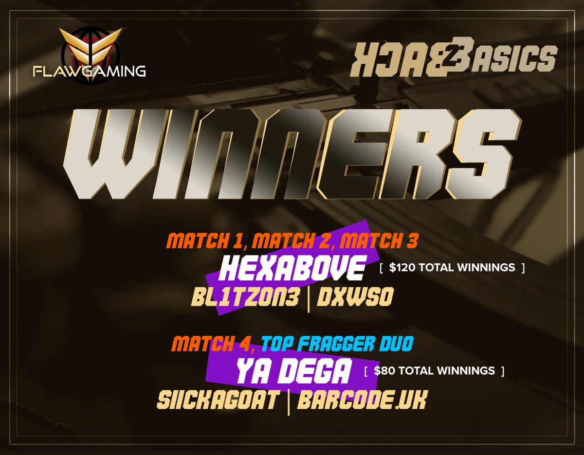 FLAW GAMING tweet media