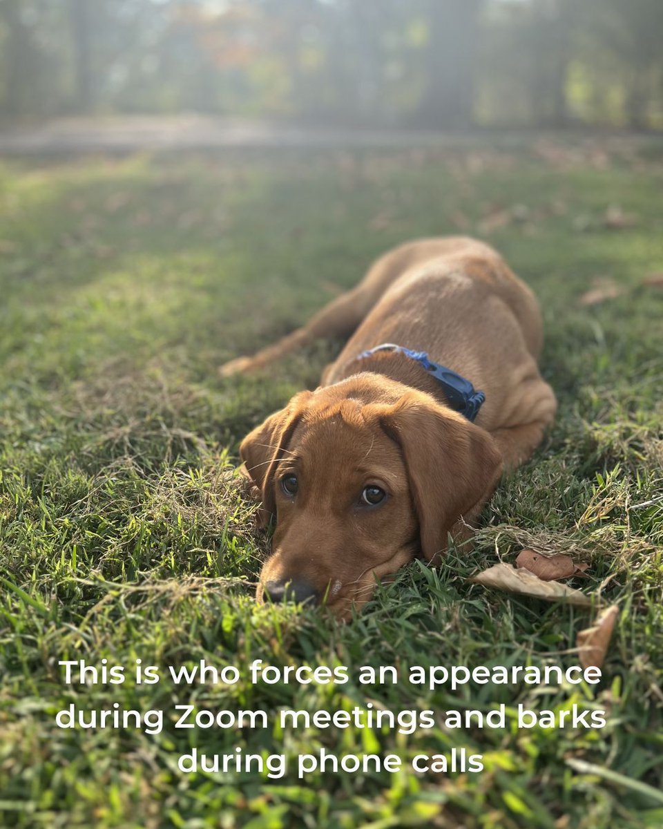 BMF │ The Big Man Foundation tweet media