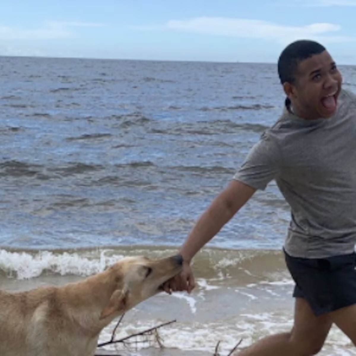 Elizabeth Ortíz tweet media