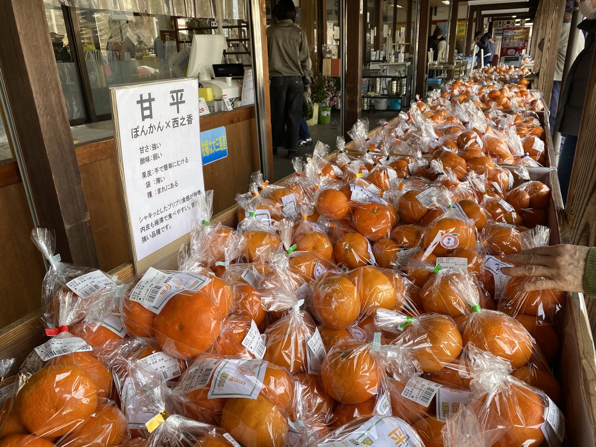 チャリ旅のゴールは大山祇神社。いや〜立派ですねぇ。往復30kmほどの行程頑張りました。