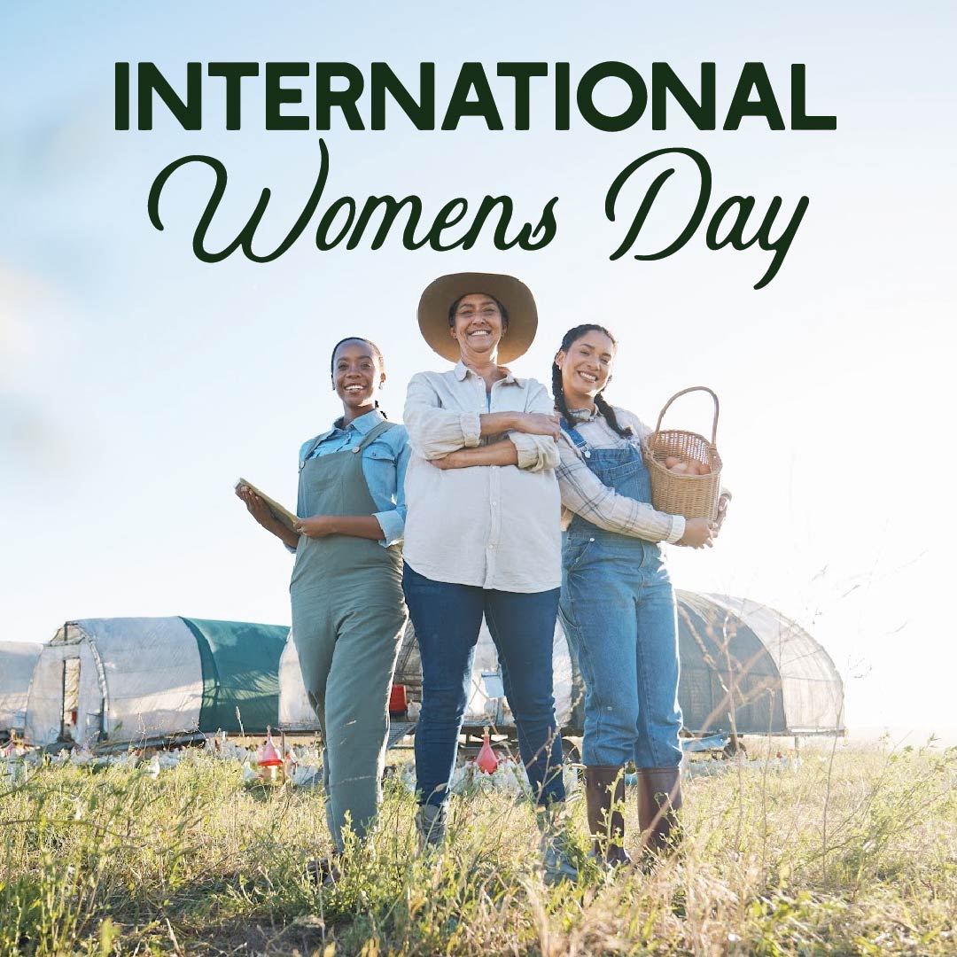 True Leaf Market tweet media