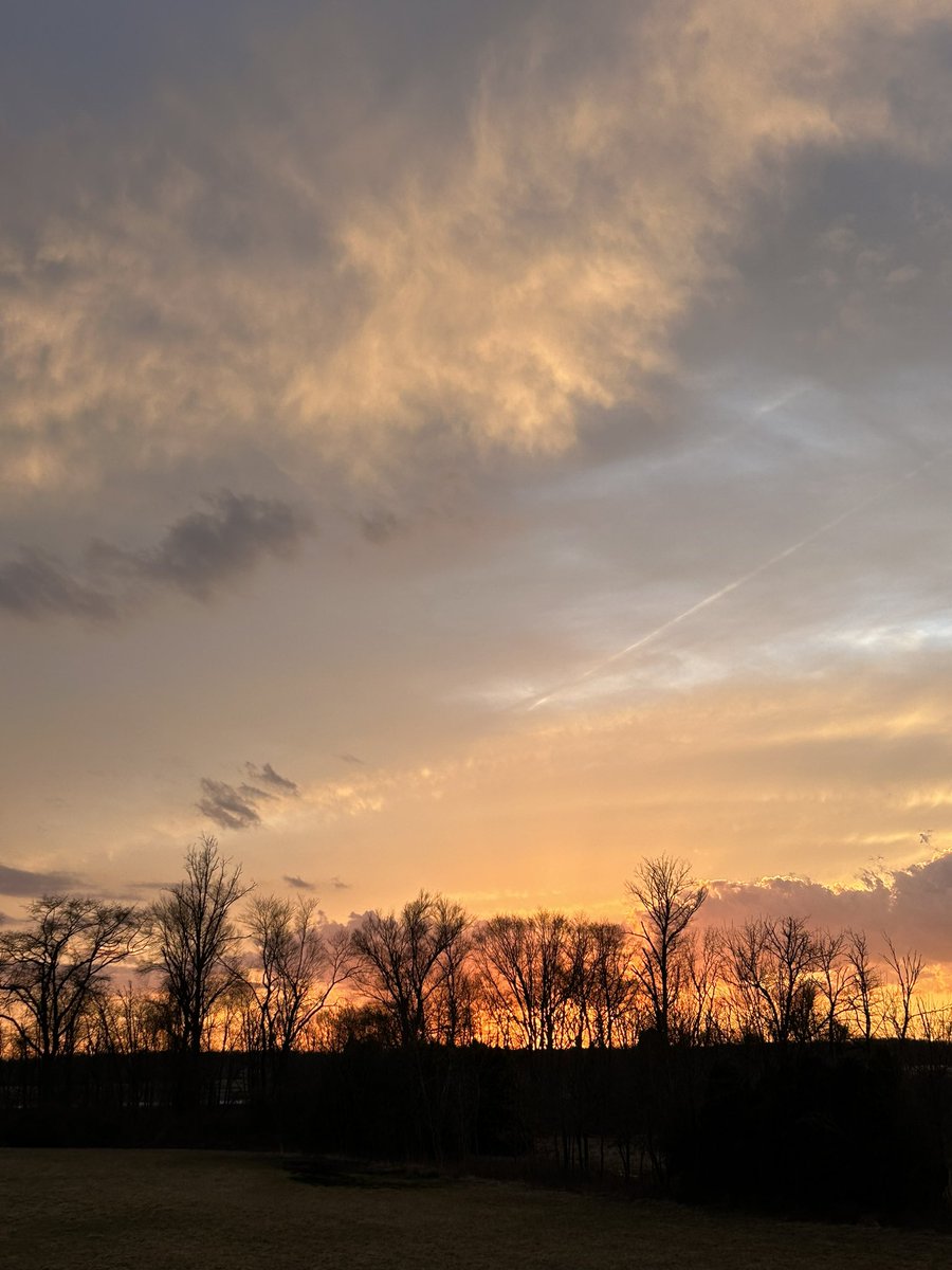 Keegan Fitzpatrick tweet media