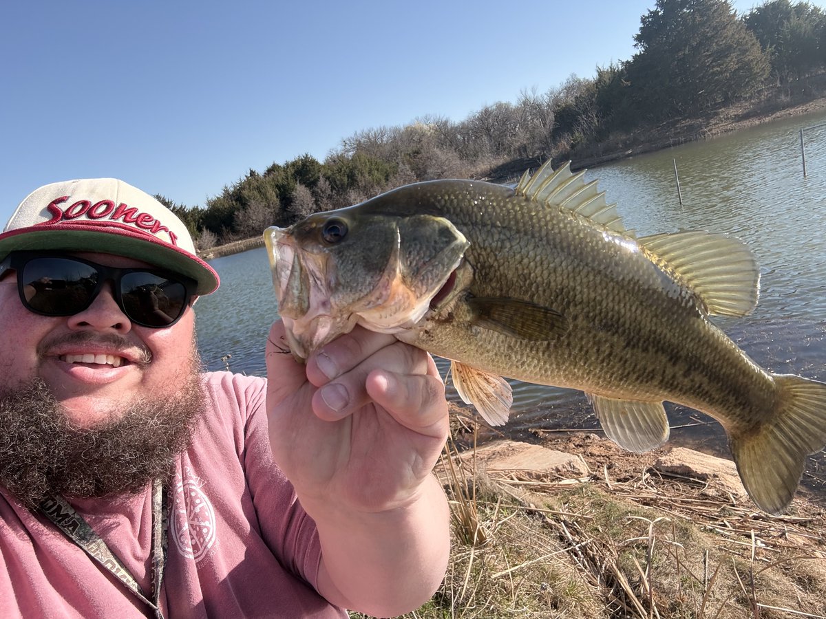 Johnny Baseball tweet media