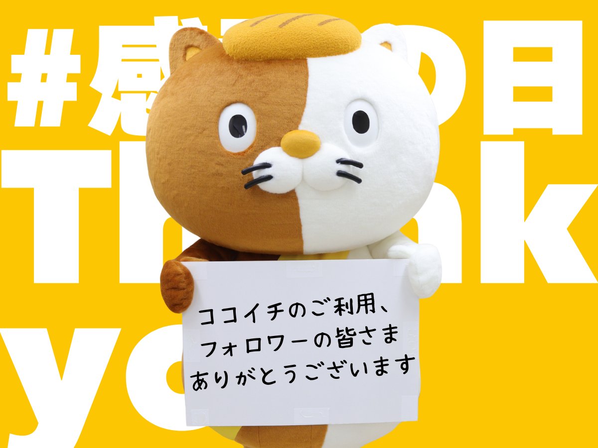curryichibanya's tweet photo. 本日3月9日は #感謝の日 🍛✨

日頃からココイチを愛してくれる皆さま、そしてこのアカウントを覗いてくださる皆さま、本当にありがとうございます！🍛

皆さんの「おいしかった」「また来るね」という言葉が、中の人の、そして全国の店舗スタッフの何よりのエネルギーになっています。💪

これからも皆さんの日常に、変わらない安心とスパイスをお届けします。
今日もお店でお待ちしています🍛

コメントや引用リポスト拝見しております！
いつもありがとうございます🫶

#サンキューの日