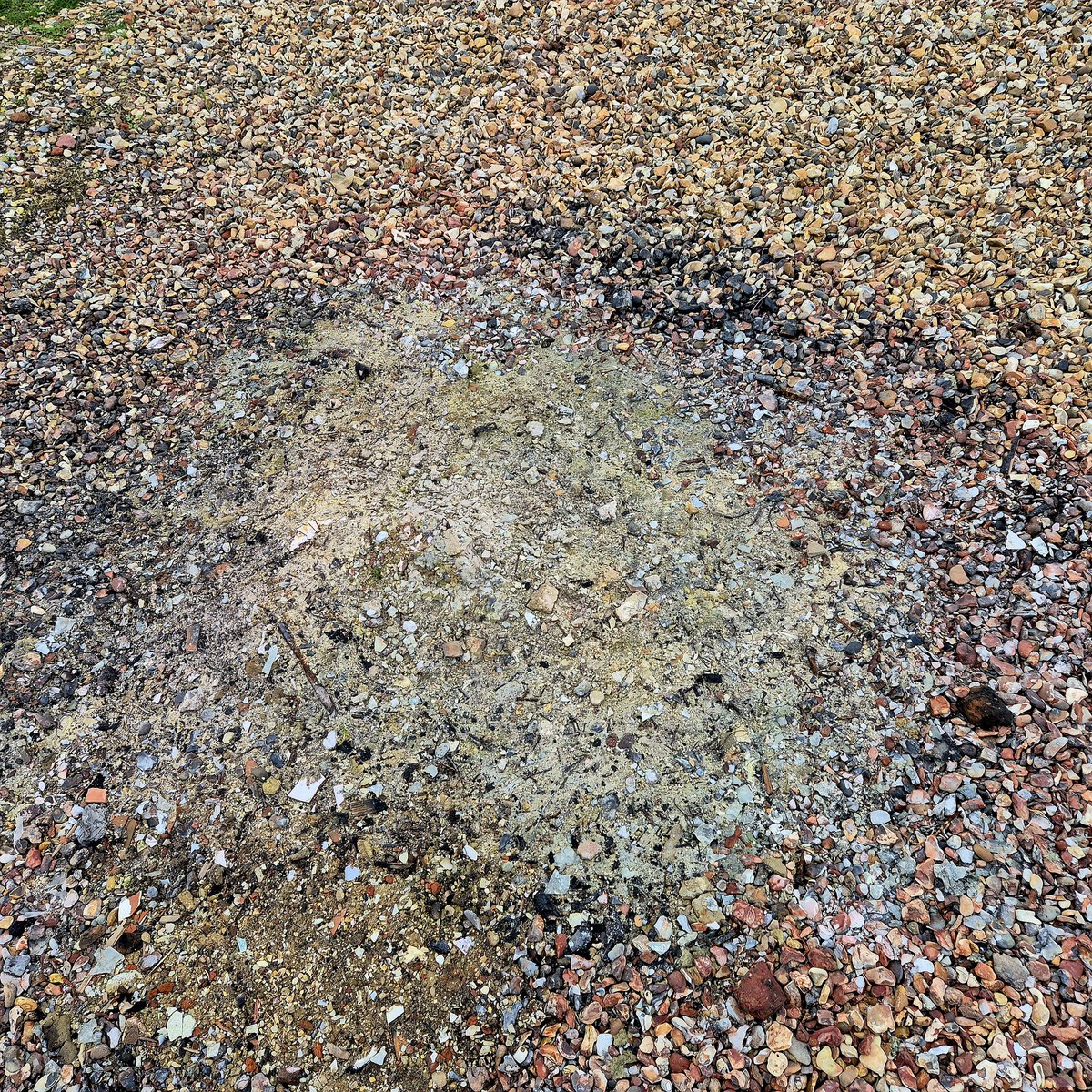 Books Landscape Magic tweet media