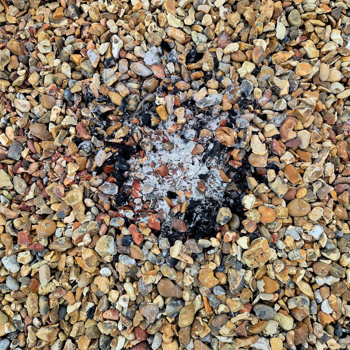 Books Landscape Magic tweet media