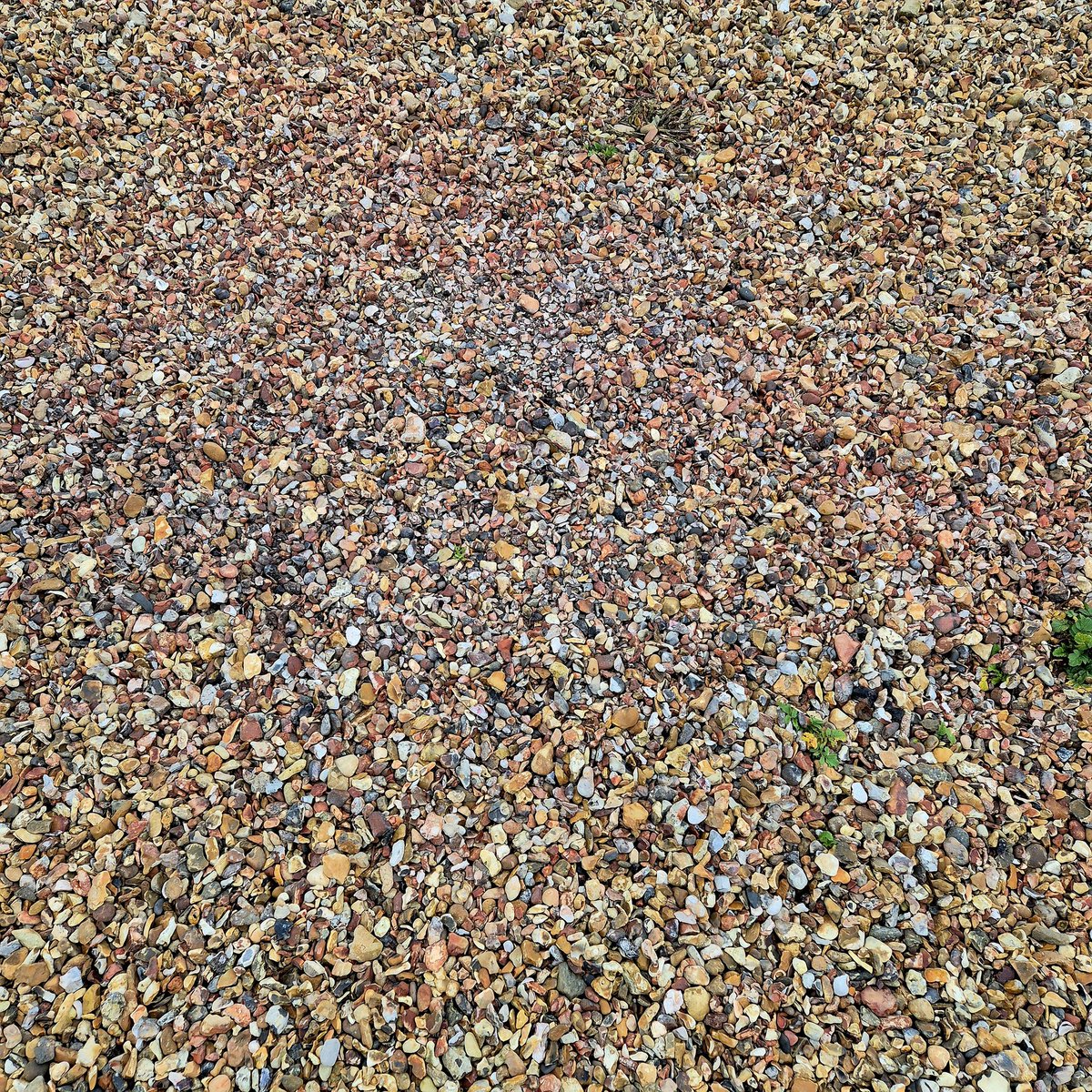 Books Landscape Magic tweet media