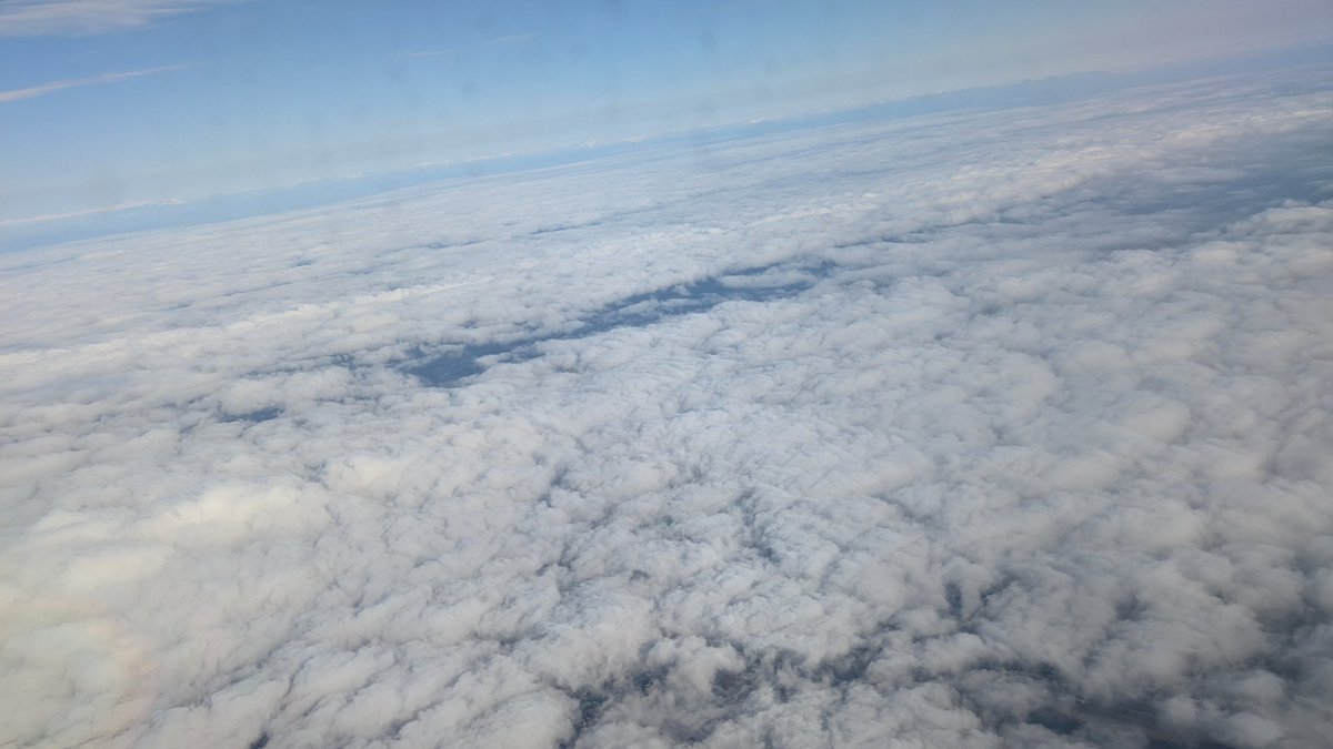 ハシ (@honomi_official) on Twitter photo 