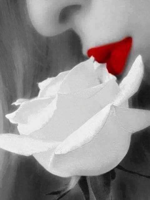 De tudo ao meu amor serei atento
Antes, e com tal zelo, e sempre, e tanto

Que mesmo em face do maior encanto
Dele se encante mais meu pensamento.

Vinícius de Moraes 🌹🎩