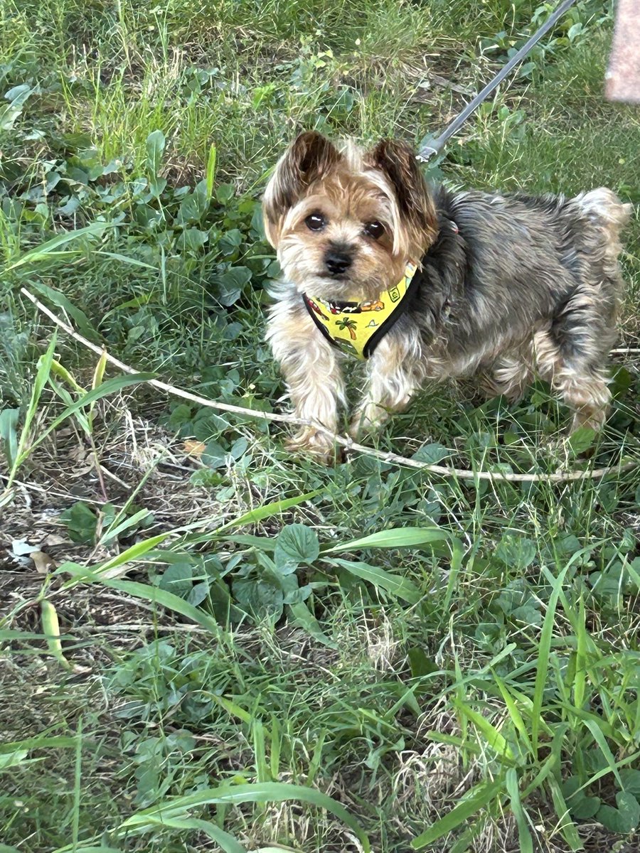 Heather MSN, RN 🩺😷 tweet media