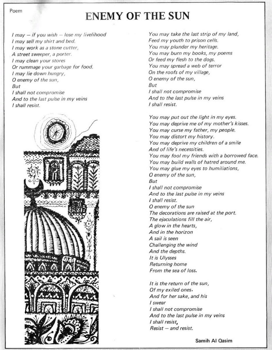 aster 🌼 tweet media