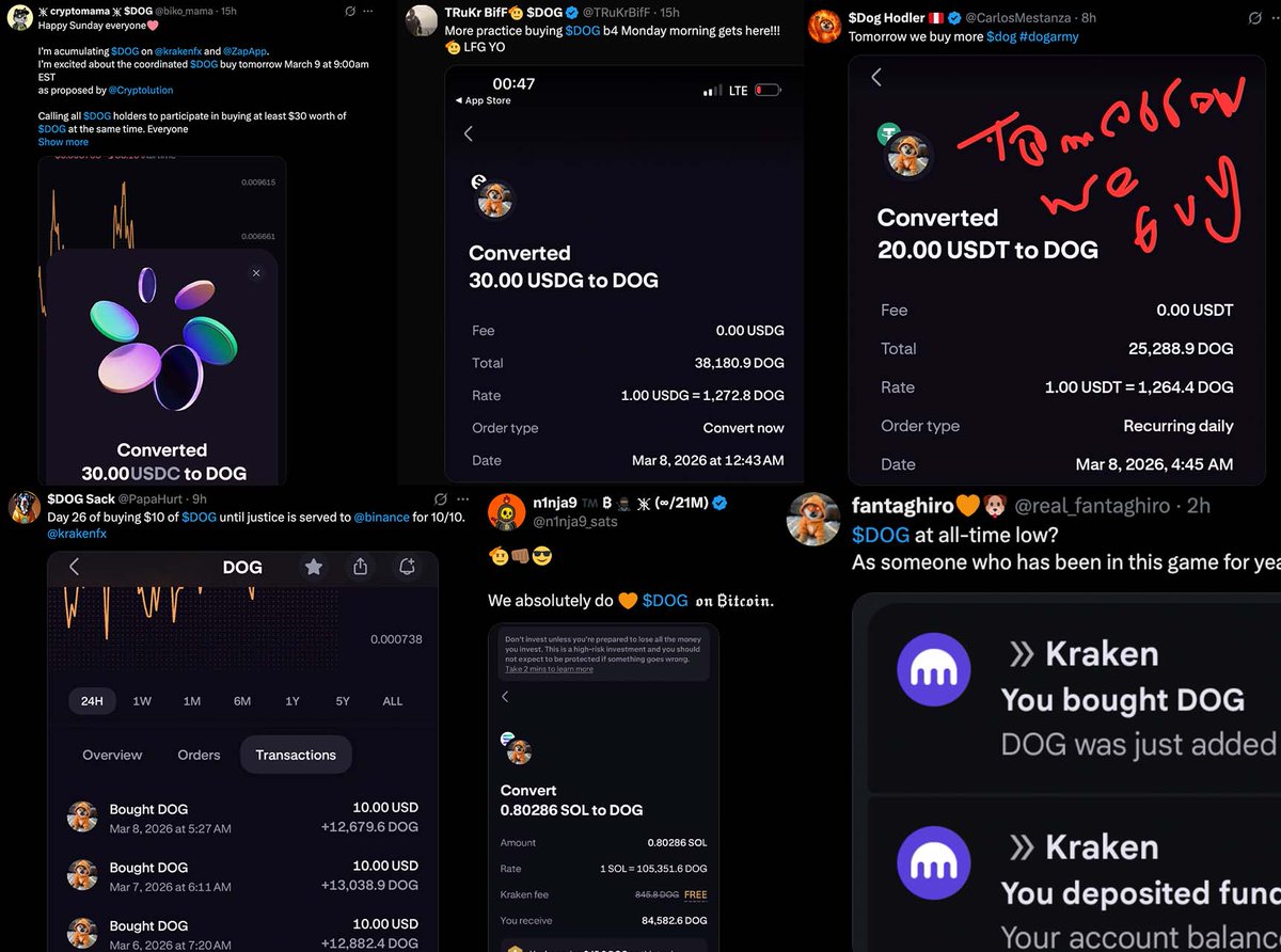 Vincent (Cryptolution) 👑 tweet media