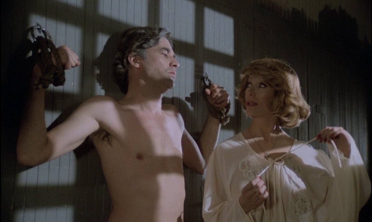 DVDBeaver tweet media