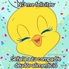 Conejo Terapeuta ❤️🩹🐇🧠 tweet media