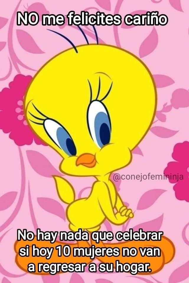 Conejo Terapeuta ❤️🩹🐇🧠 tweet media