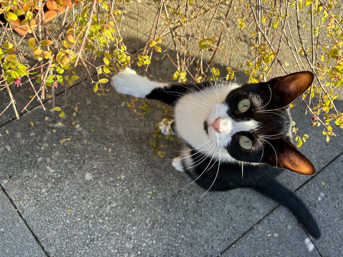 🎓 Les potits bidous de Fréa tweet media