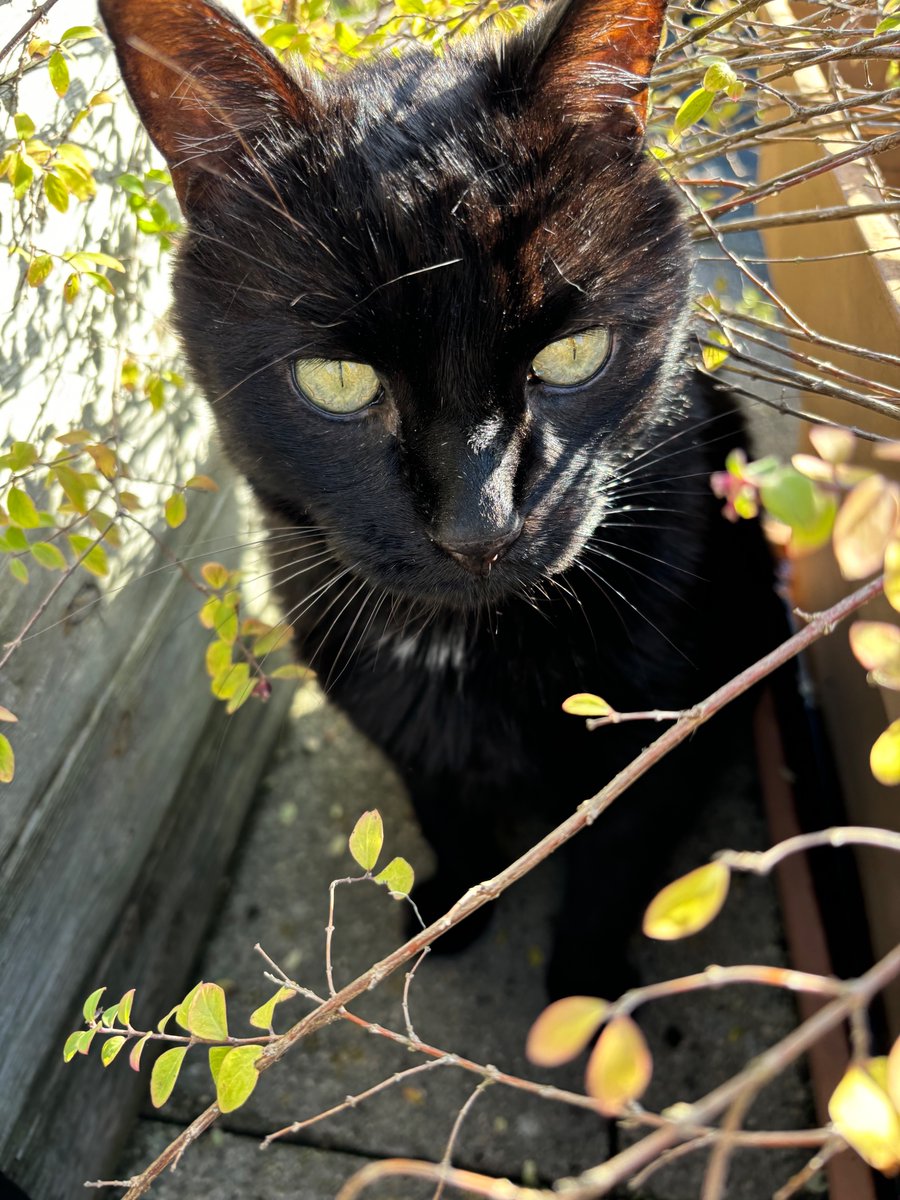 🎓 Les potits bidous de Fréa tweet media