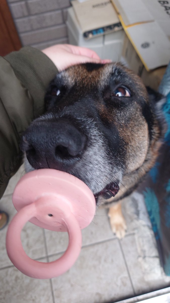 🅼🅰🆁🆂🅷🅰🅻 tweet media