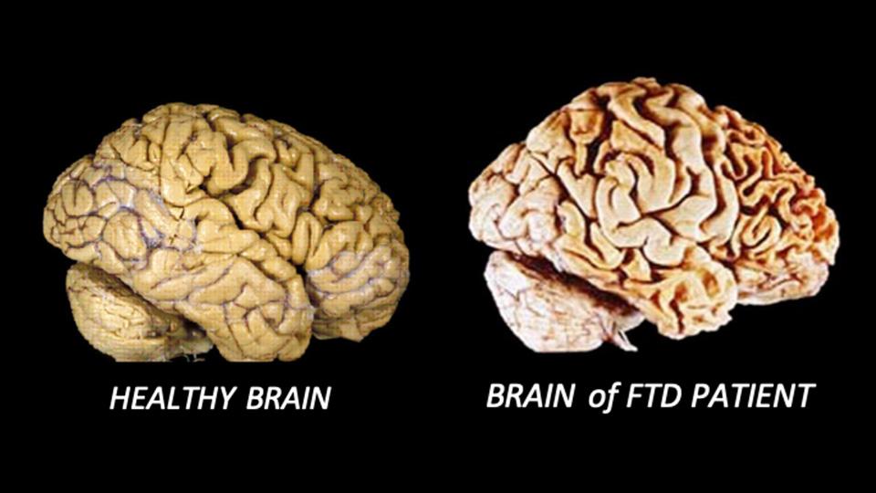 Green Eggs-n-Sam tweet media