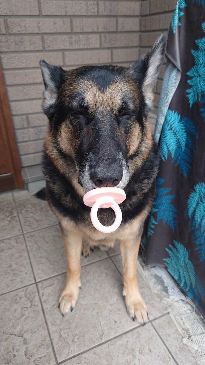 🅼🅰🆁🆂🅷🅰🅻 tweet media