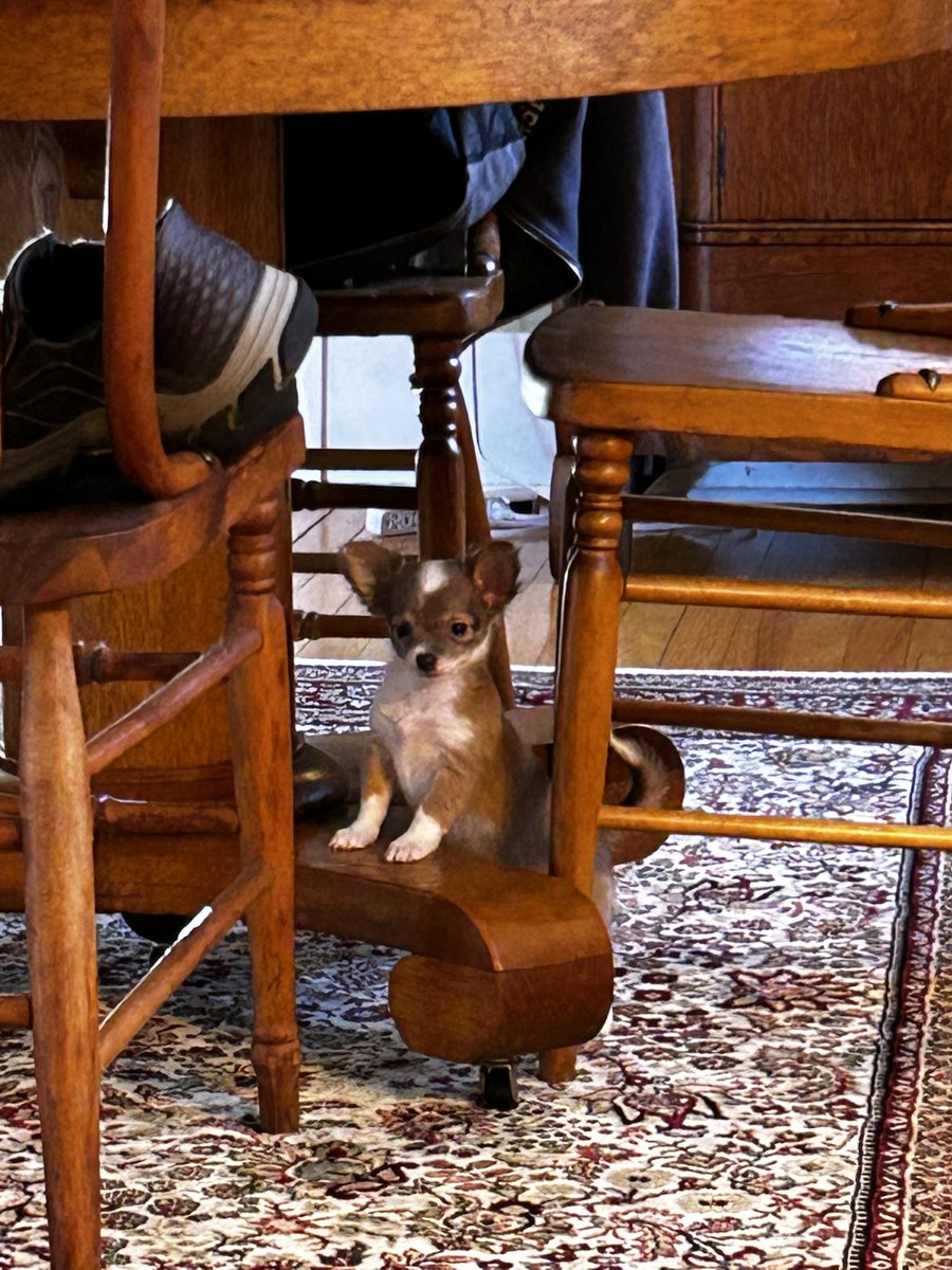 I’m pretty crazy about little Miss Betty!