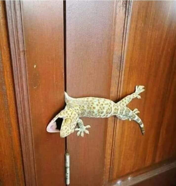 محمد جربوعة التميمي tweet media