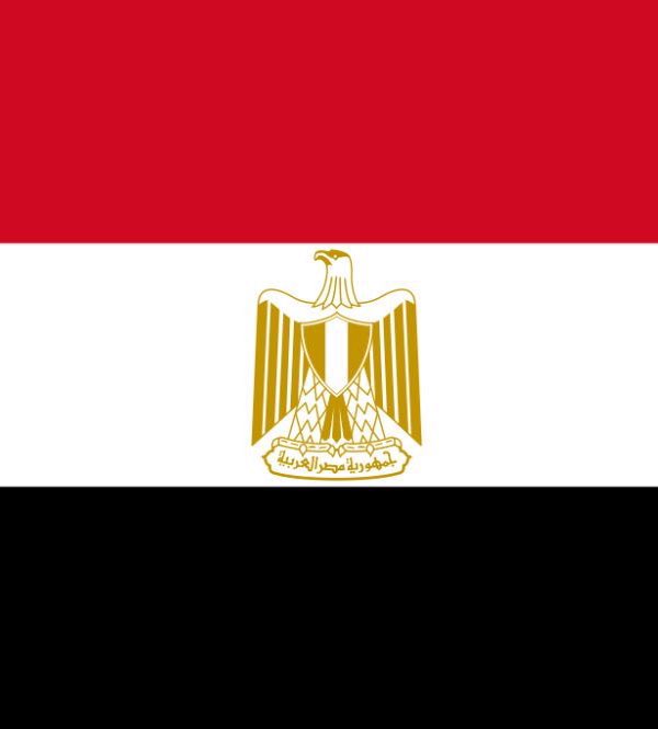 Catilda. tweet media