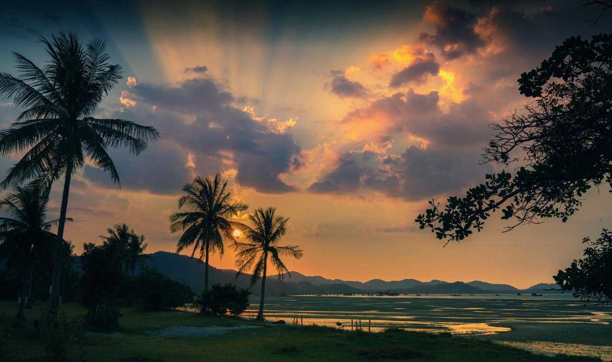 Trieu Hai tweet media