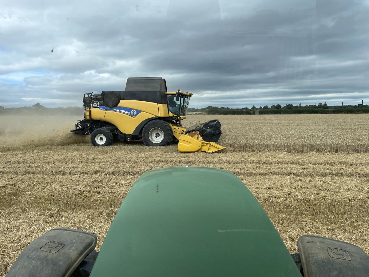 HorseToTractor's tweet photo. Experienced GFW in Hay Silage Ploughing Telescopic Driving &amp; Combine driving. Also Experienced in Cattle Pigs &amp; Chickens.
With a passion for Horses
Please send me a DM and let’s Chat https://t.co/MQPCCheiWe