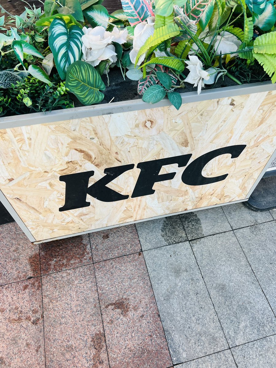 Benjieming的撸毛之旅 tweet media