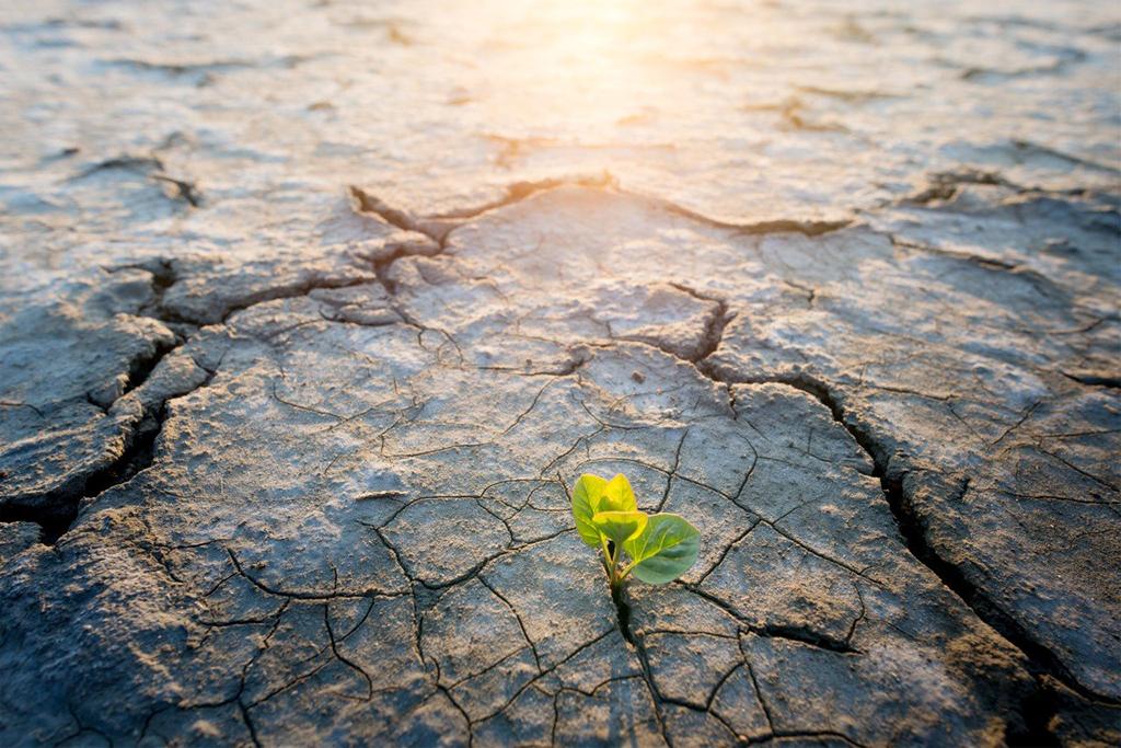 Investigación climática: <a href="/Nature/">nature</a> publica carta que advierte impacto regional del desfinanciamiento del <a href="/CR2_uchile/">Centro de Ciencia del Clima y la Resiliencia CR2</a> uchile.cl/u237509