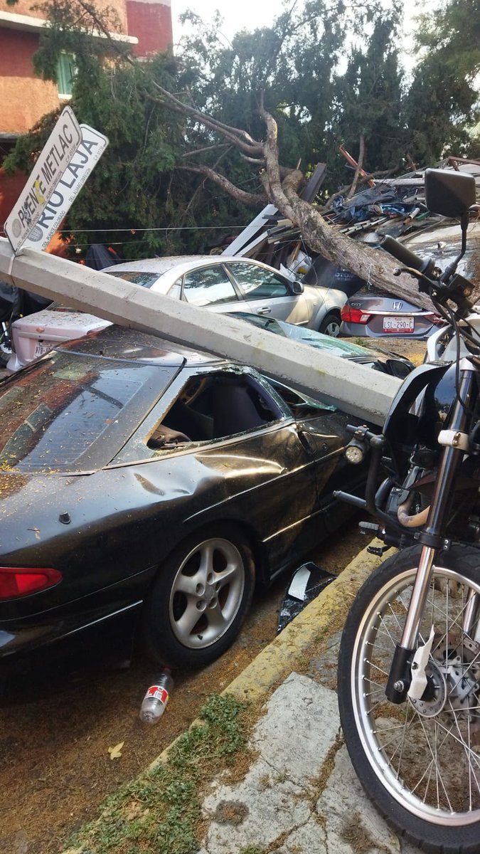 Alcaldía Álvaro Obregón tweet media