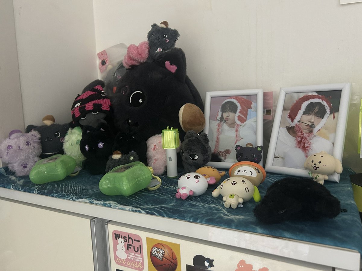 블쿠캣 tweet media