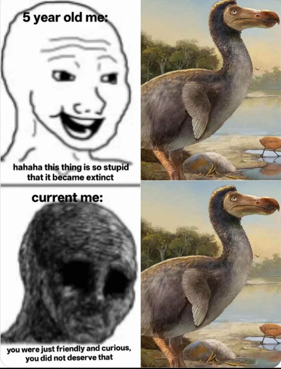 Real Post Folder tweet media