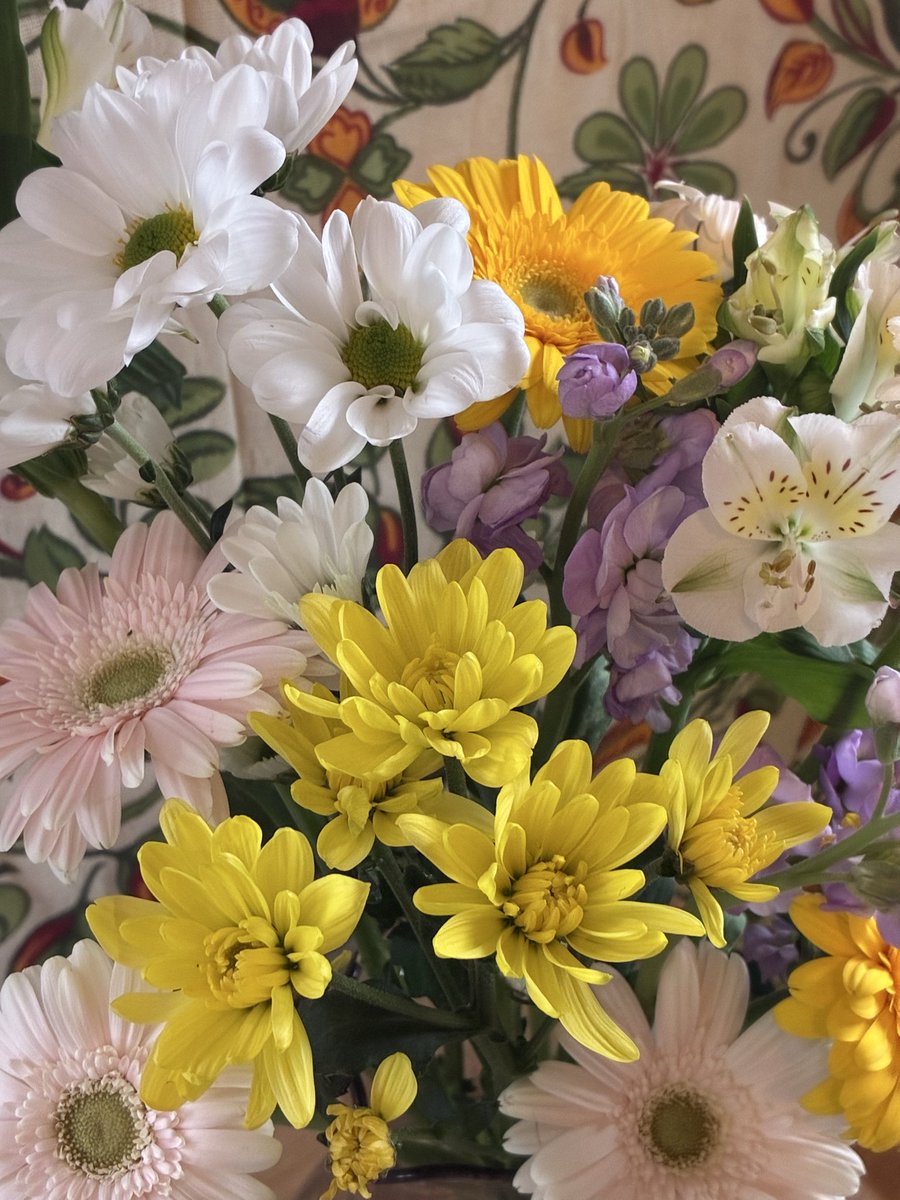 pukapukatsuki's tweet image. ありがとうを
届けに行きます。

#thank youの日
#3月9日