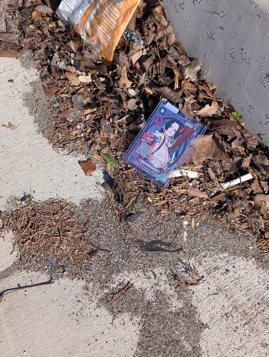 Angel 🕷️💜 tweet media