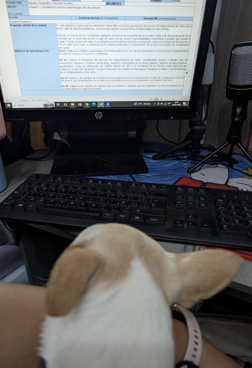 Angelina Riquelme tweet media