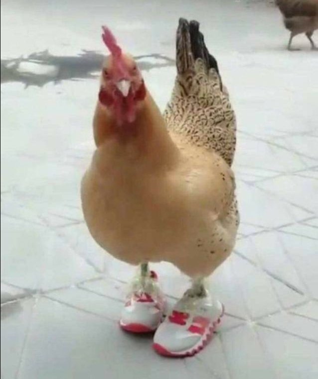 𝓼𝓪𝓧𝓽𝔀𝓲𝓷ッ💧 tweet media