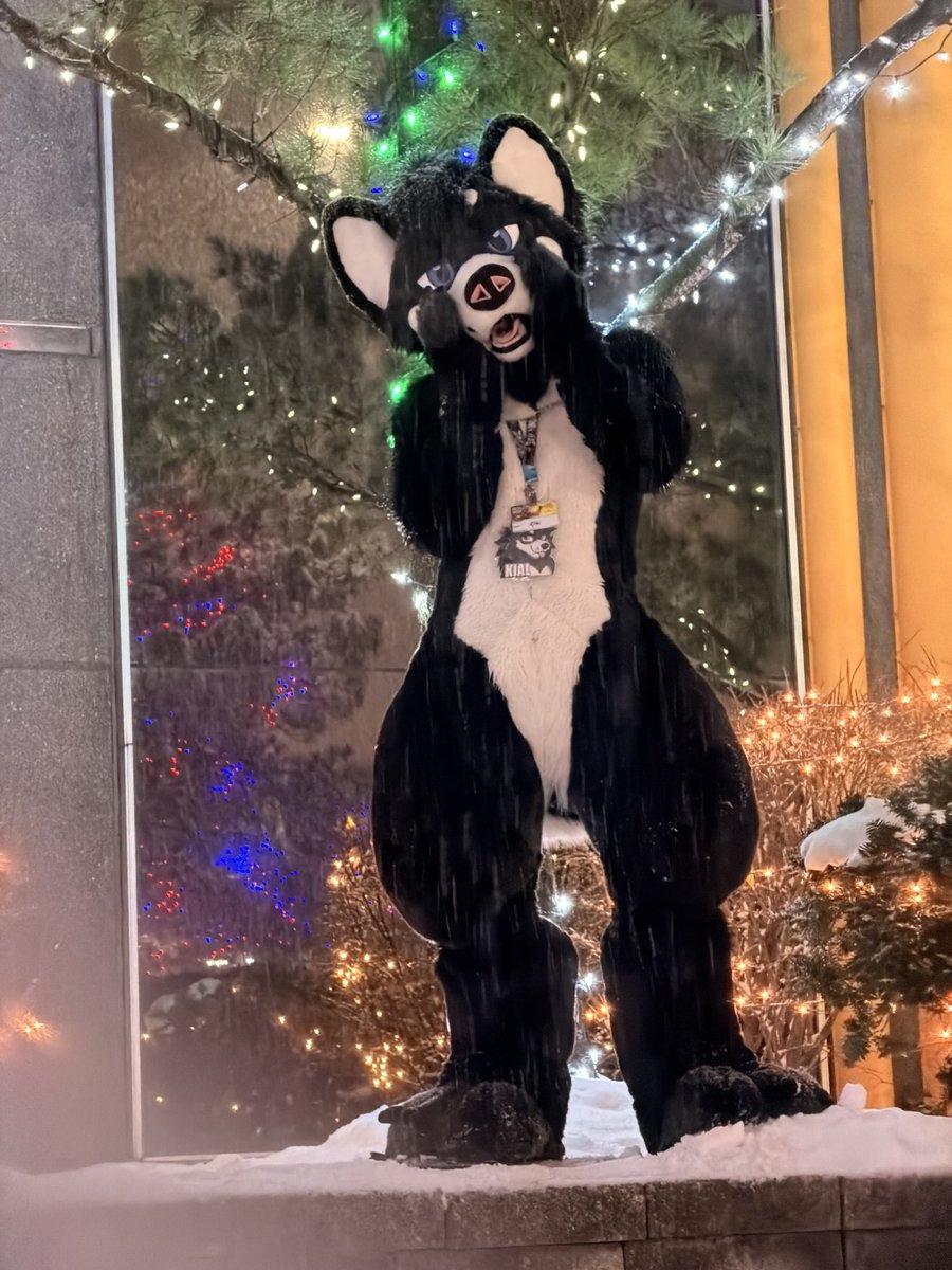 Kial 🔜 LVFC tweet media