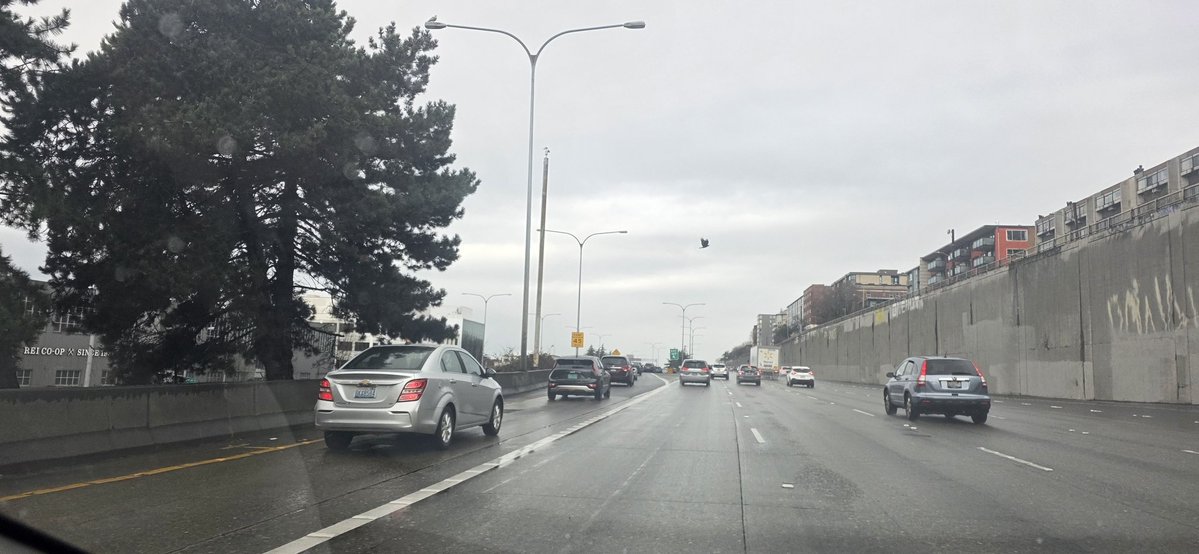 SeattleFreeze☆Sheen tweet media